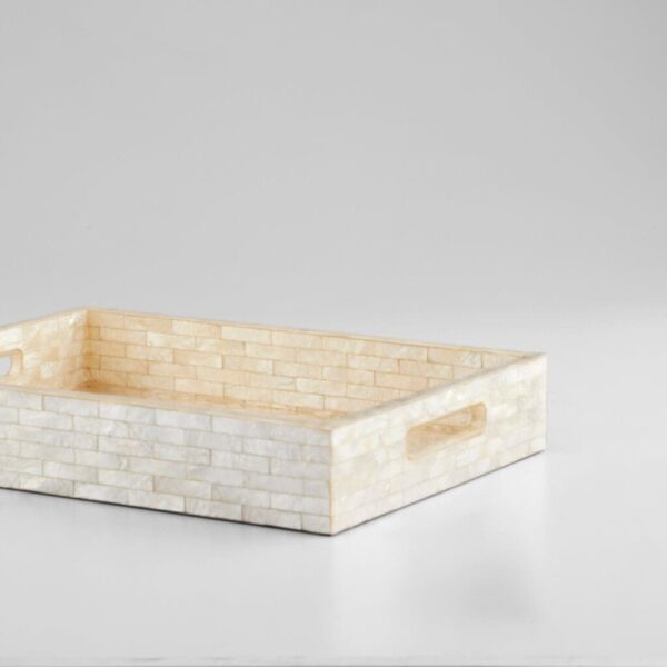 Triton Rectangle Tray - Small - Image 3