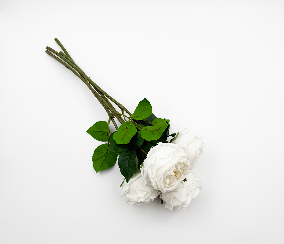 English Cabbage Rose Bundle of 4 - Pure White - Image 3