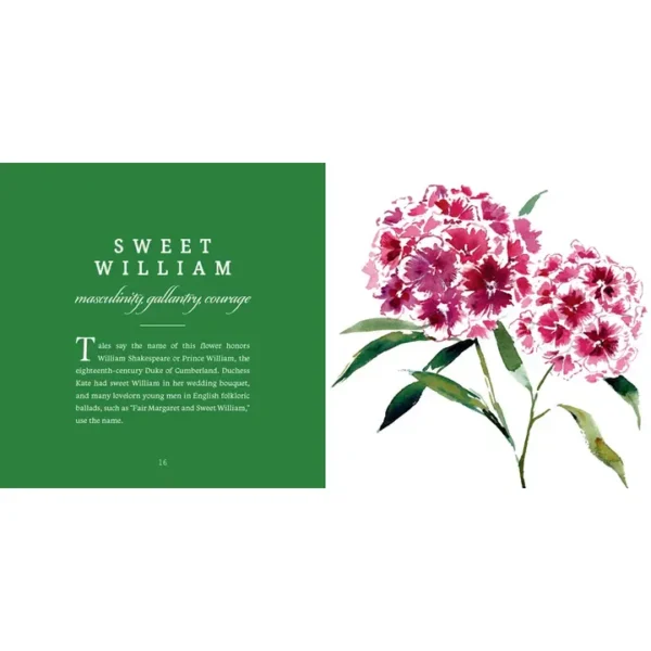 The Language of Flowers - Image 3