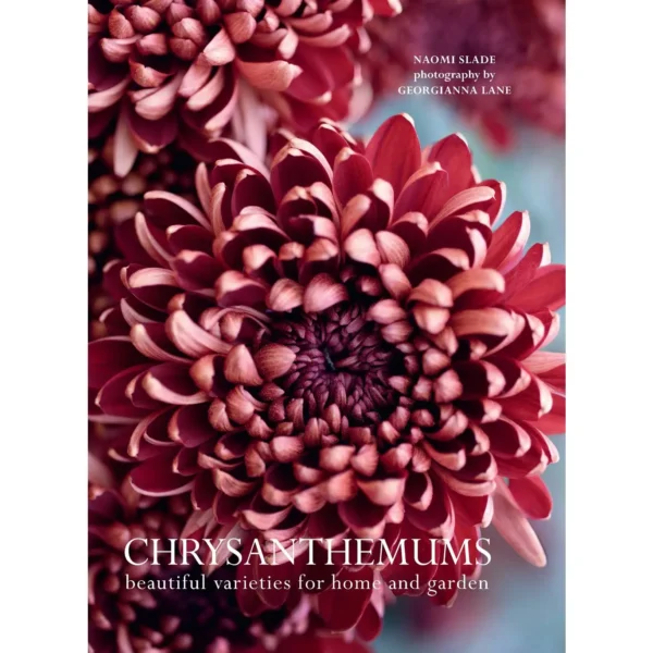 Chrysanthemums: Beautiful Varieties for Home and Garden