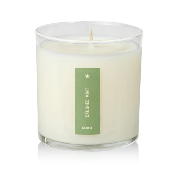 Crushed Mint Plant-the-Box Candle - 9 oz - Image 2