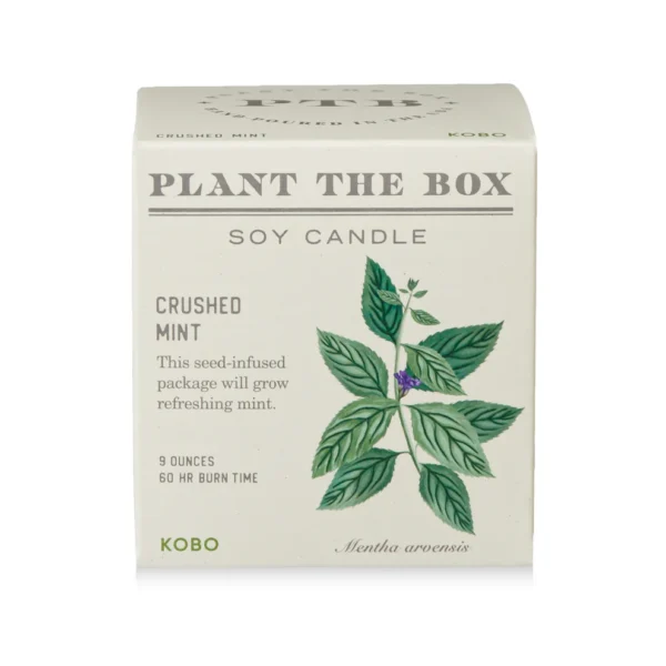 Crushed Mint Plant-the-Box Candle - 9 oz - Image 3