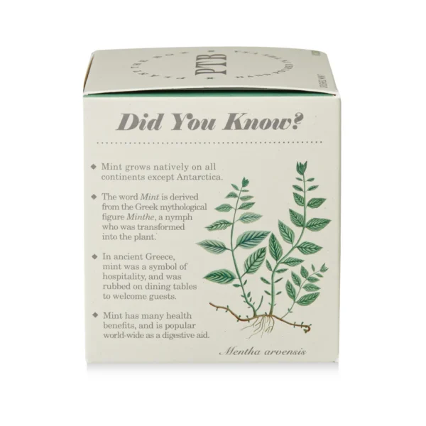 Crushed Mint Plant-the-Box Candle - 9 oz - Image 5