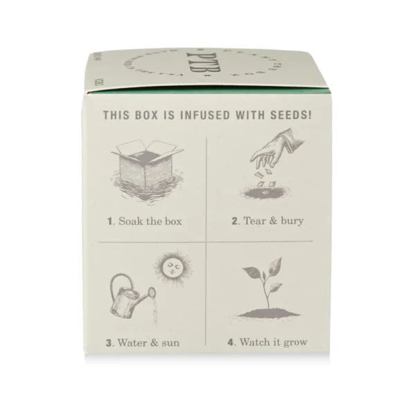 Crushed Mint Plant-the-Box Candle - 9 oz - Image 6