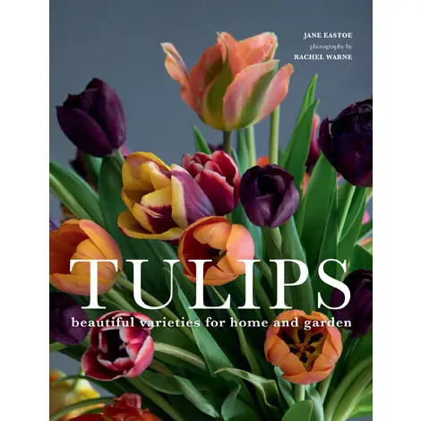 Tulips: Beautiful Varieties for Home and Garden