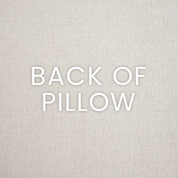 Coleous-Jet Throw Pillows | DV Kap Home