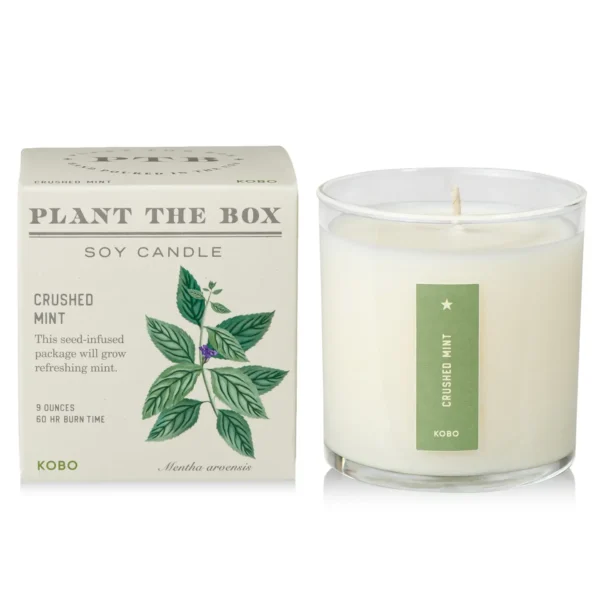 Crushed Mint Plant-the-Box Candle - 9 oz