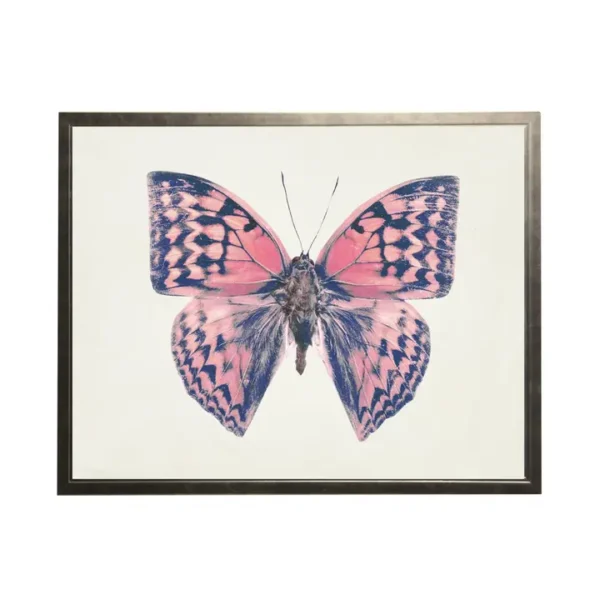 Butterfly Quartet Wall Art - Four 8 x 10 Prints - Image 4