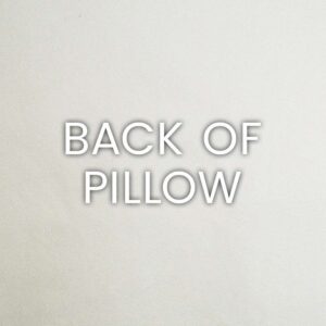 Grafton-Punch Throw Pillows | DV Kap Home