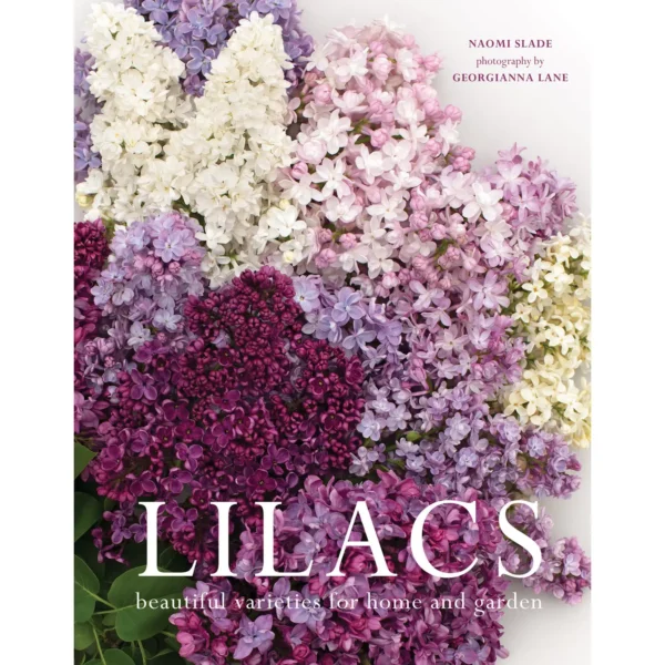 Lilacs: Beautiful Varieties for Home and Garden