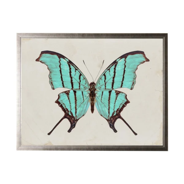 Butterfly Quartet Wall Art - Four 8 x 10 Prints - Image 2
