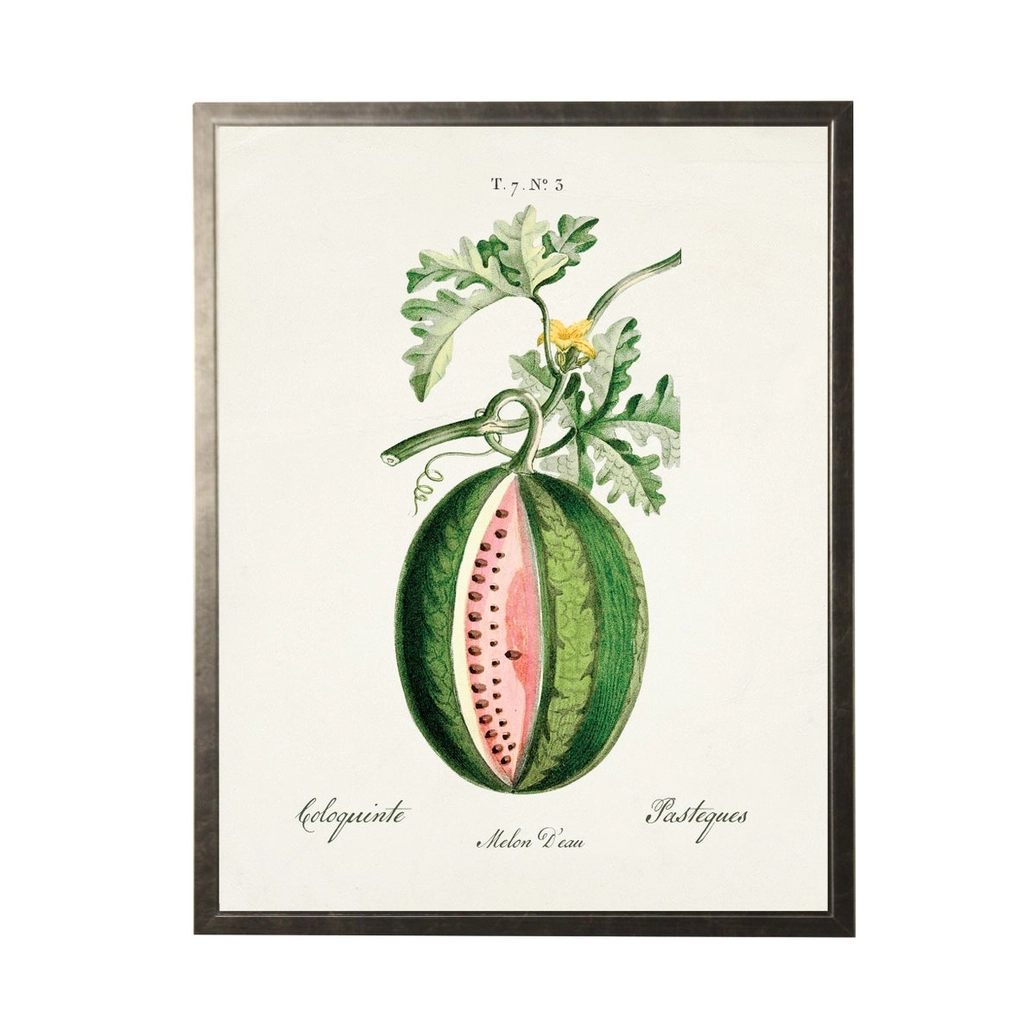 Watermelon Vintage Bookplate Wall Art - 20 x 16