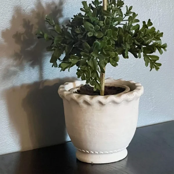White Scalloped Edge Pot + Beehive Boxwood Trio - Includes Boxwood Orbs - Image 5