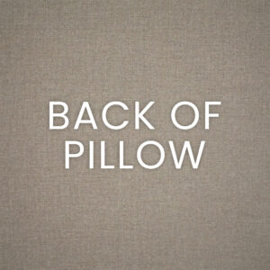 Clukey Lumbar-Salmon Outdoor Throw Pillows | DV Kap Home