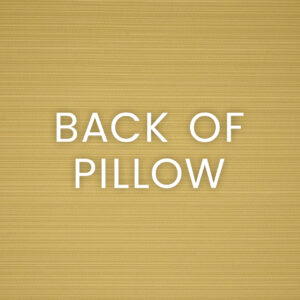 Crazy Horse Outdoor Throw Pillows | DV Kap Home