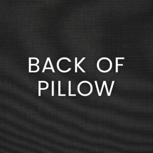 Fetch Outdoor Throw Pillows | DV Kap Home