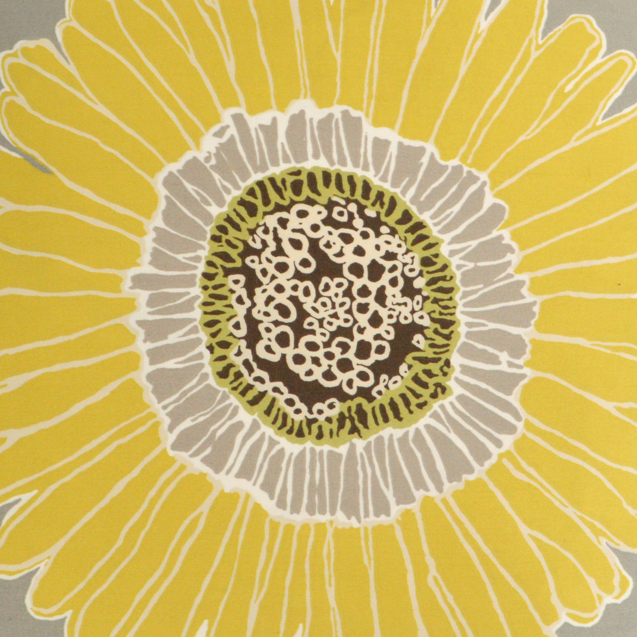 Sunshine-Grey Throw Pillows | DV Kap Home - Image 3