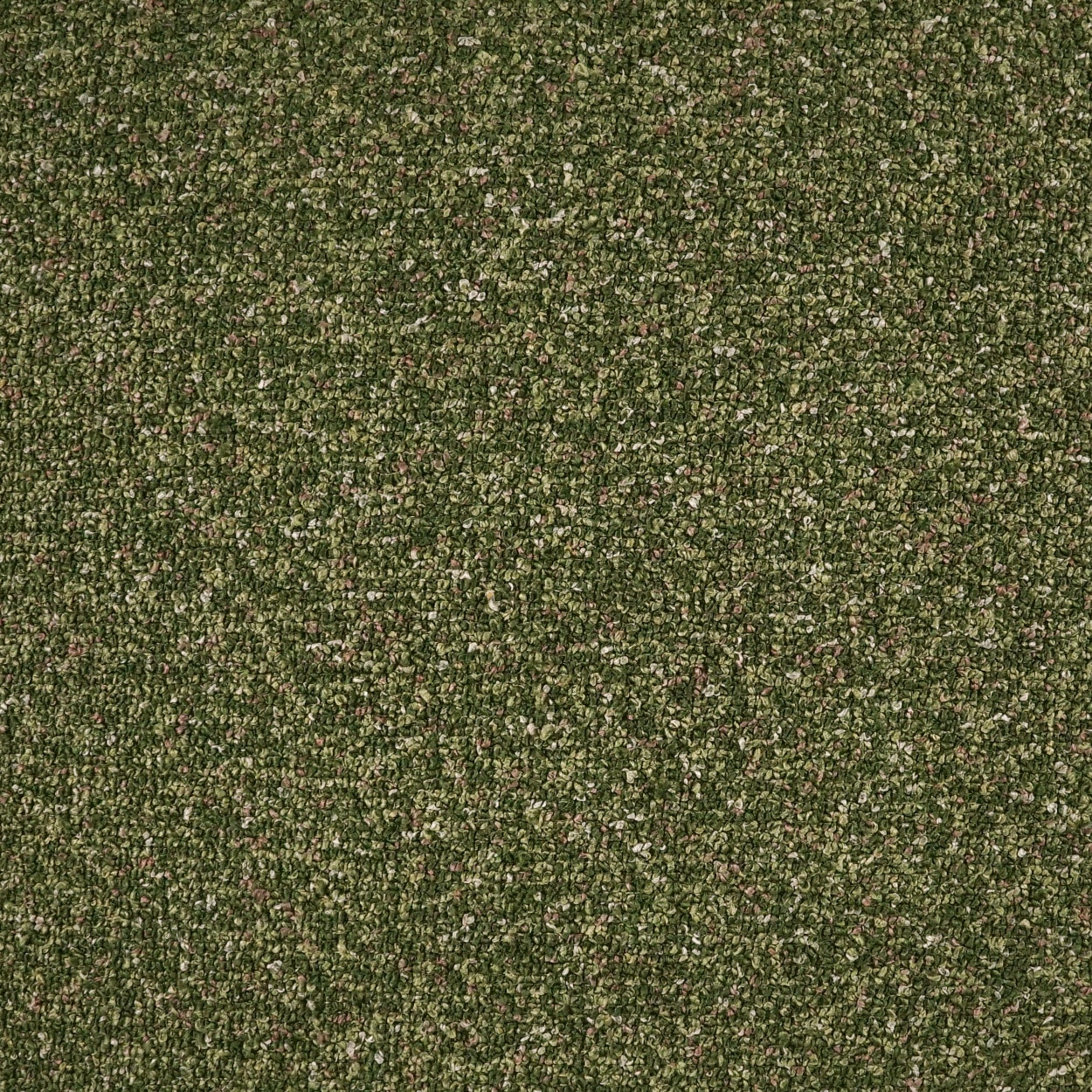 Weiss-Pine Throw Pillows | DV Kap Home - Image 3